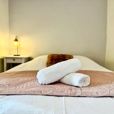 Le Cocon Des Halles - - Wifi & Lave Linge Apartman Troyes